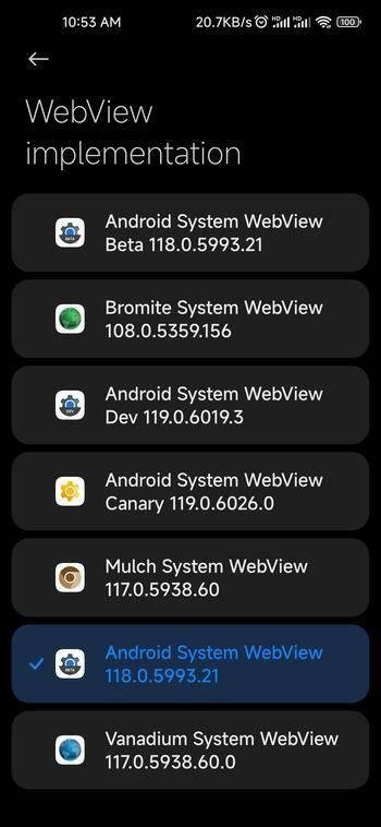 AnyWebView APK screenshot