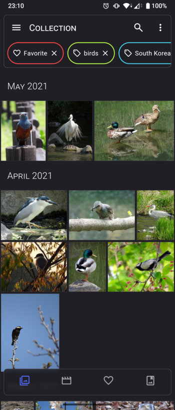 Aves Libre APK screenshot