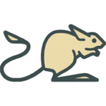 Jerboa for Lemmy APK