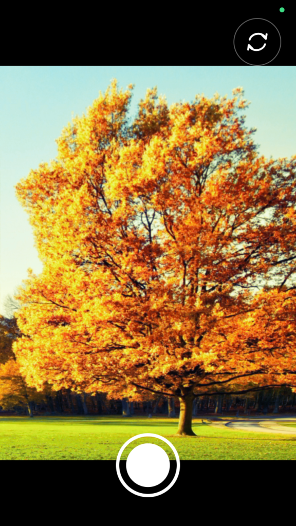 Lomo Camera APK screenshot