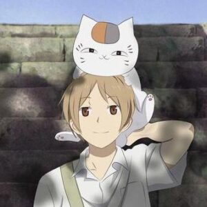 ZerotierFix APK
